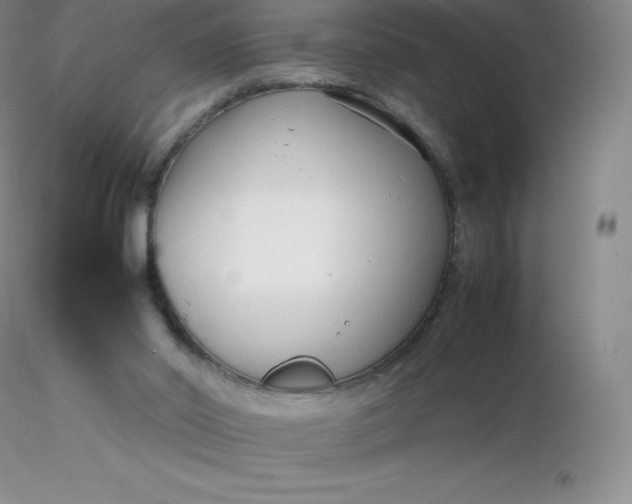 X0000116310014200912211932