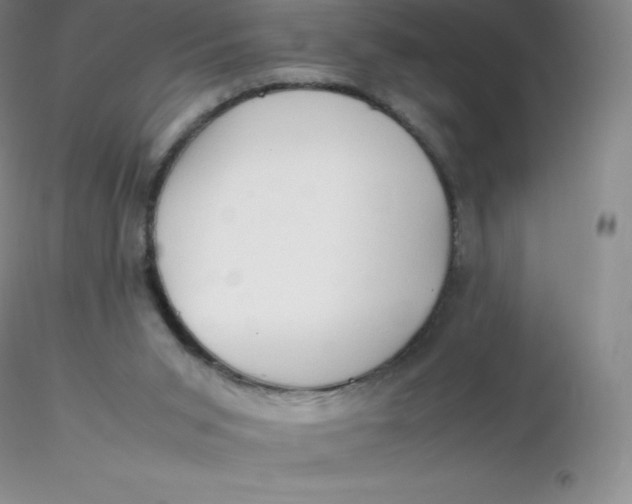 X0000116310015200912211932