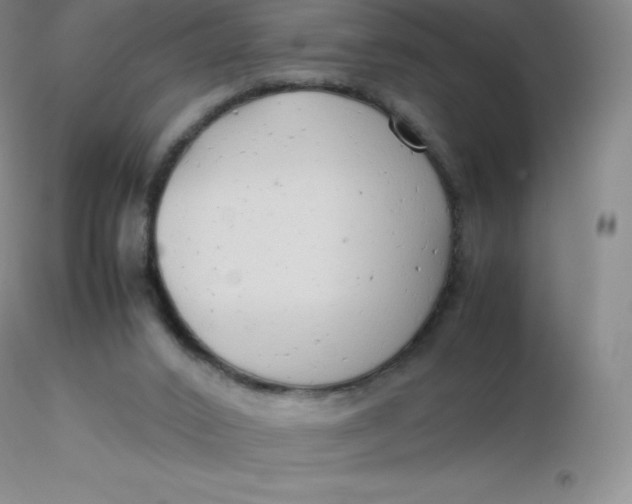 X0000116310016200912211932