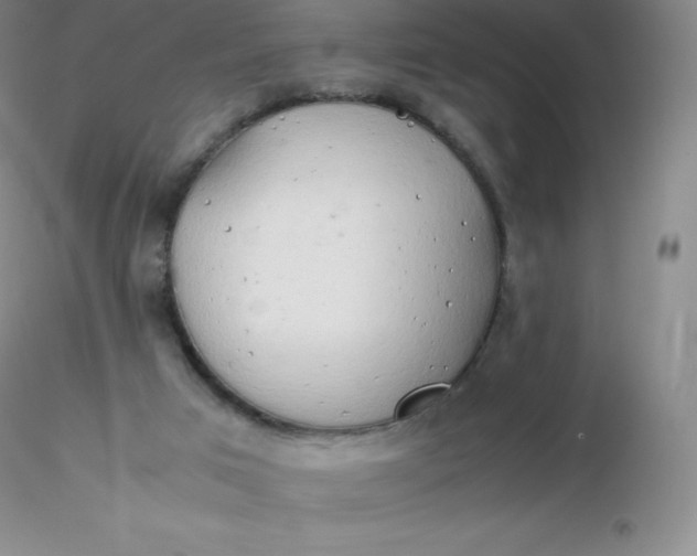 X0000116310017200912211932