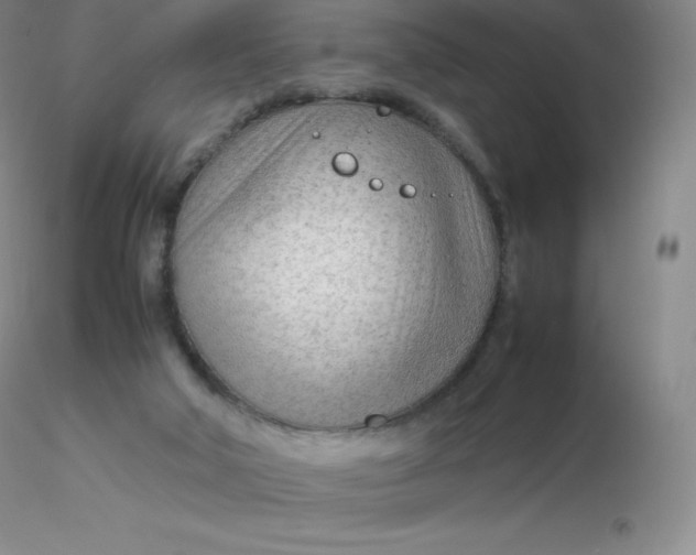 X0000116310018200912211932