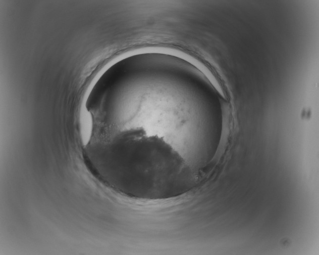 X0000116310019200912211932