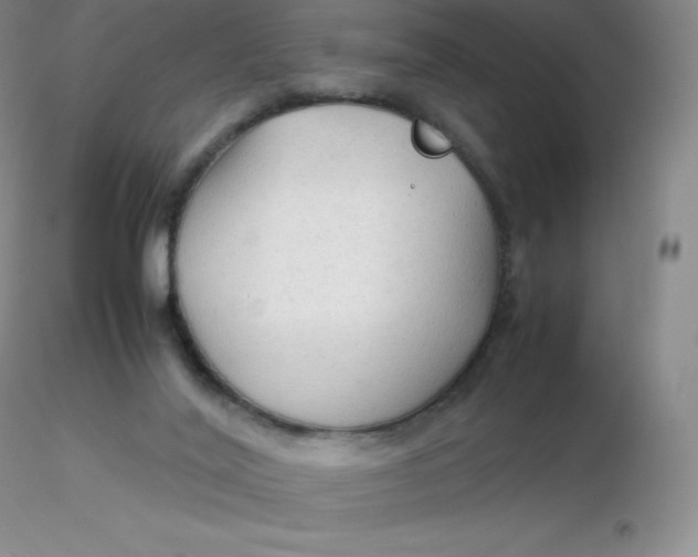 X0000116310020200912211932