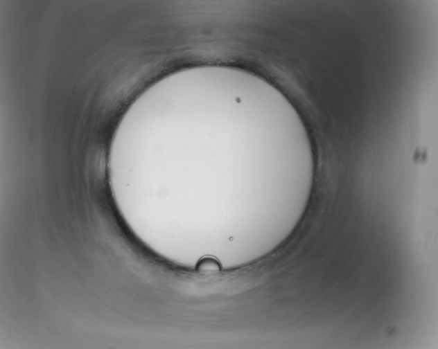 X0000116310021200912211932