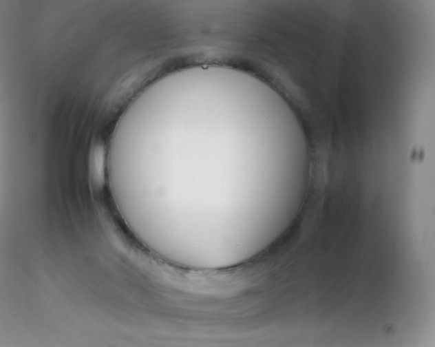 X0000116310022200912211932