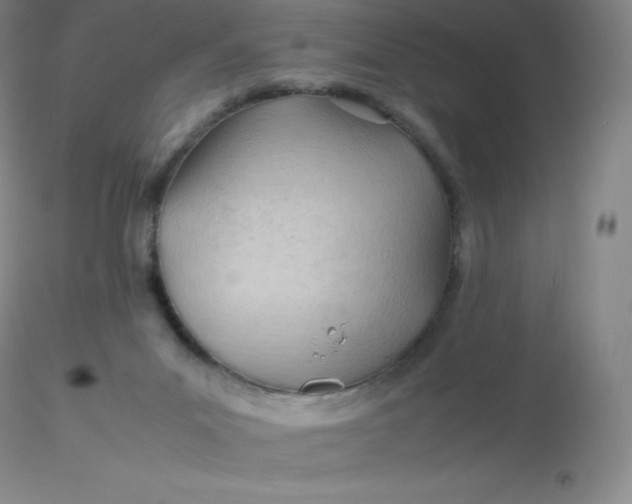 X0000116310023200912211932