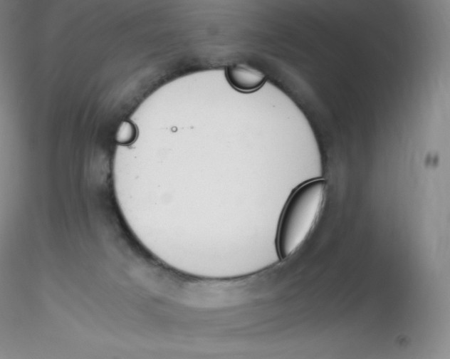 X0000116310025200912211932