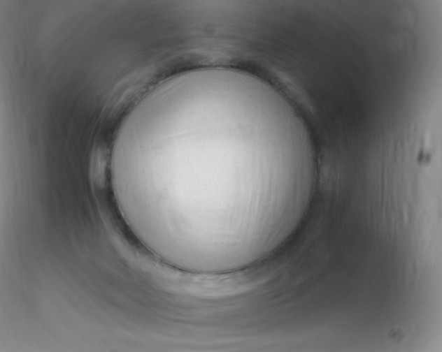 X0000116310026200912211932