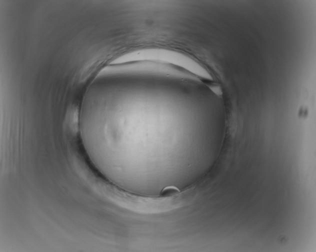 X0000116310027200912211932