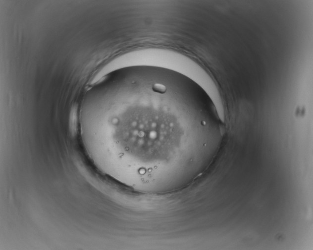 X0000116310028200912211932