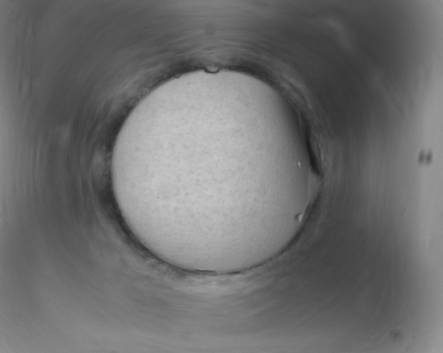 X0000116310029200912211932