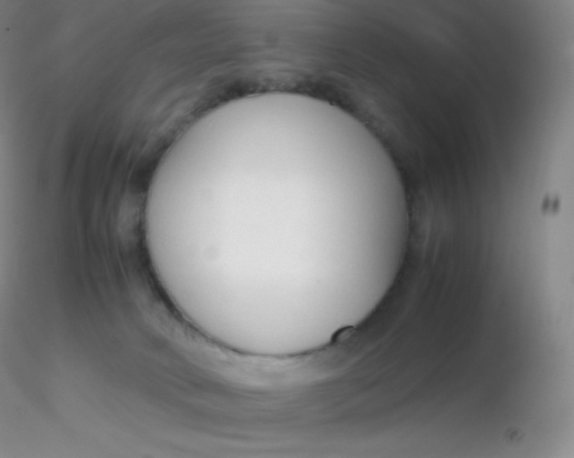 X0000116310034200912211932