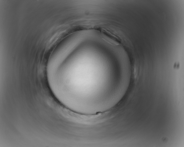 X0000116310035200912211932