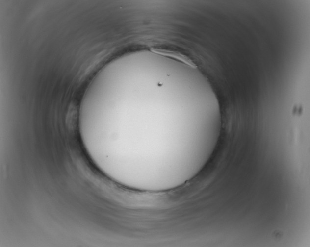 X0000116310036200912211932