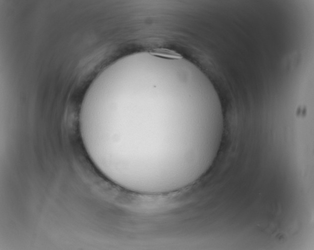 X0000116310037200912211932