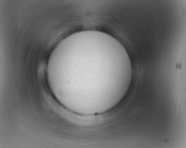 X0000116310038200912211932