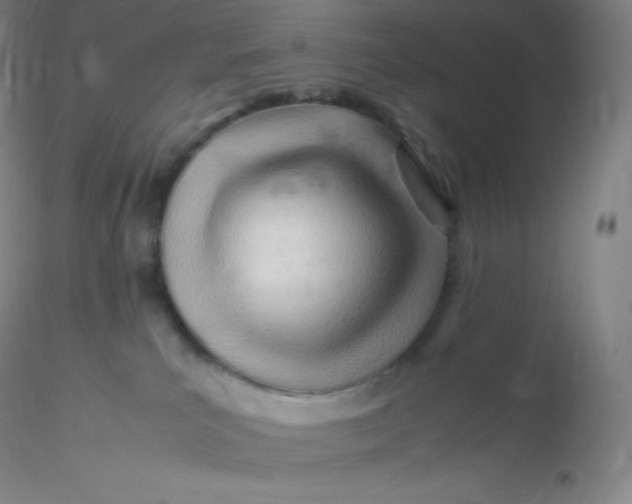 X0000116310039200912211932