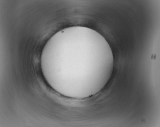 X0000116310040200912211932