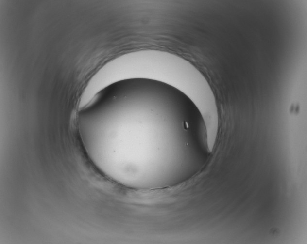 X0000116310041200912211932