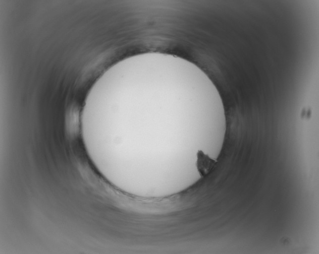 X0000116310042200912211932