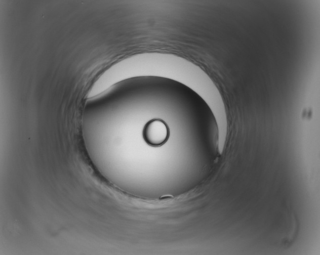 X0000116310043200912211932