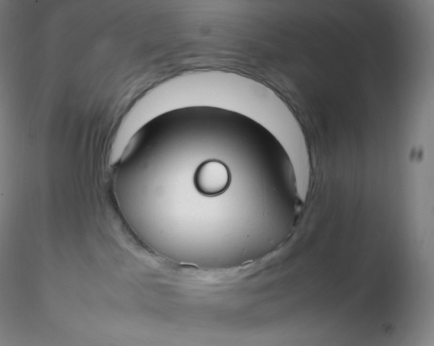 X0000116310045200912211932