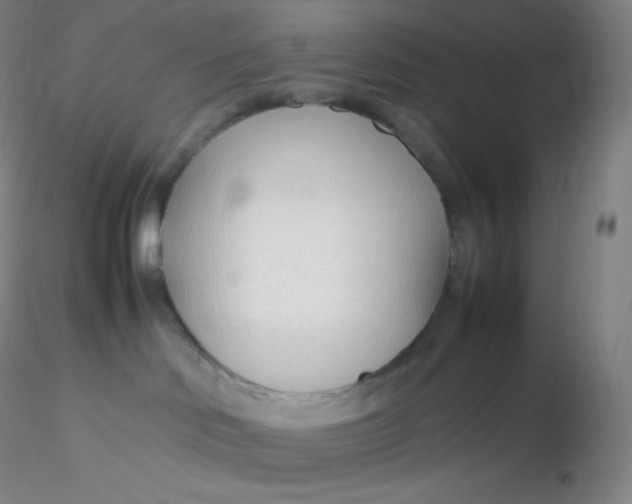 X0000116310046200912211932