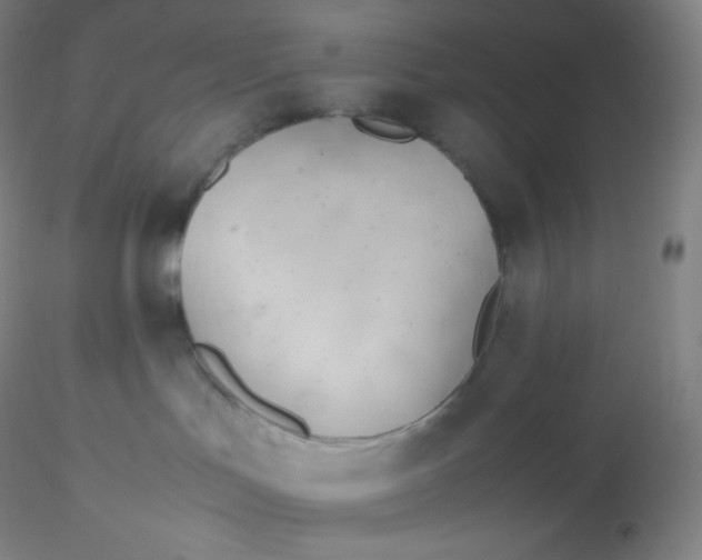 X0000116310047200912211932