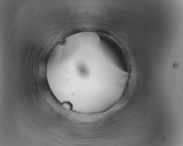 X0000116310048200912211932