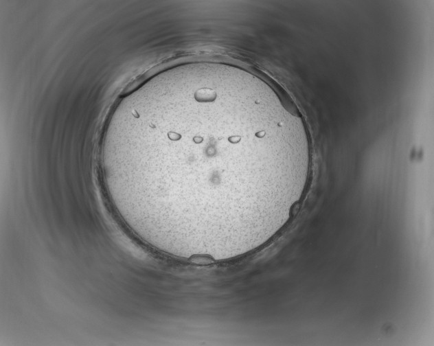 X0000116310049200912211931