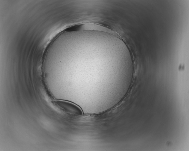 X0000116310050200912211931