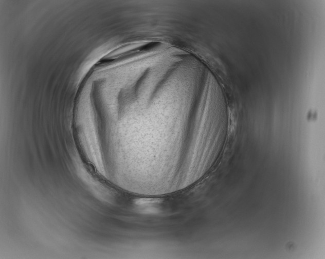 X0000116310051200912211931