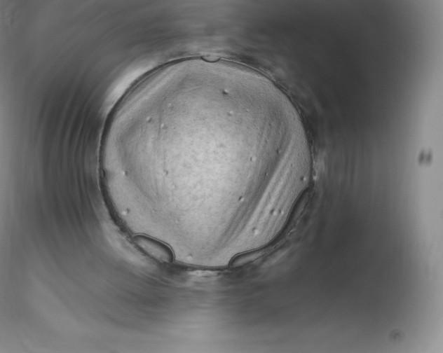 X0000116310052200912211931