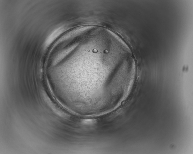 X0000116310053200912211931