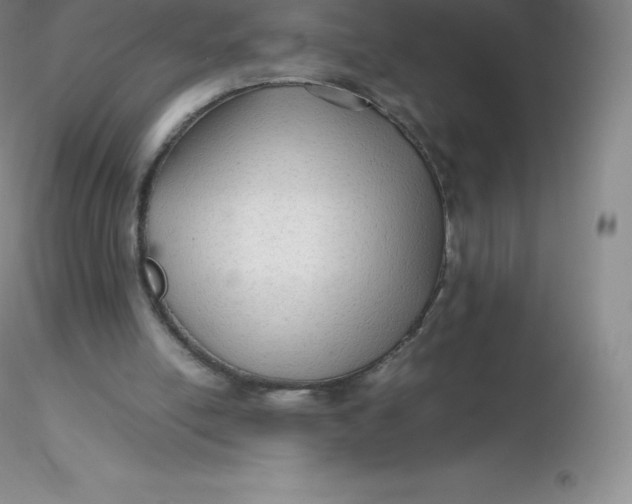 X0000116310054200912211931