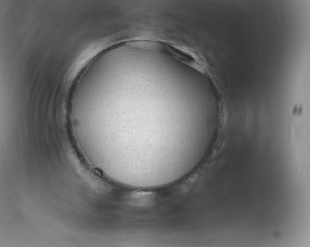 X0000116310055200912211931