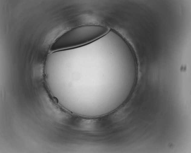 X0000116310057200912211931