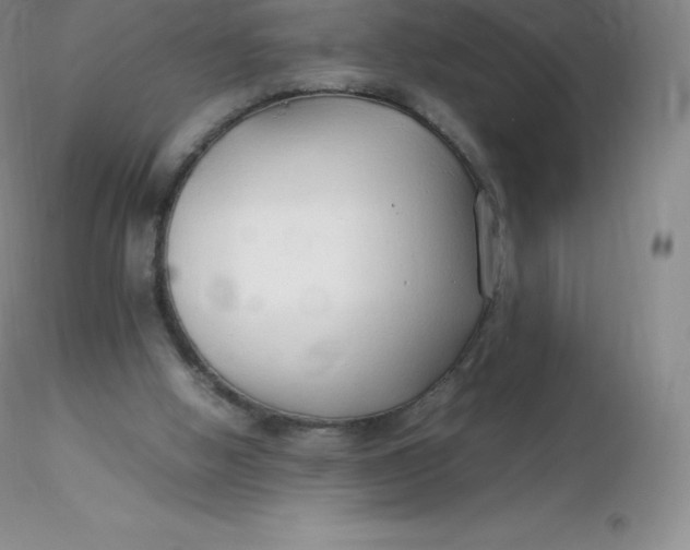 X0000116310058200912211931