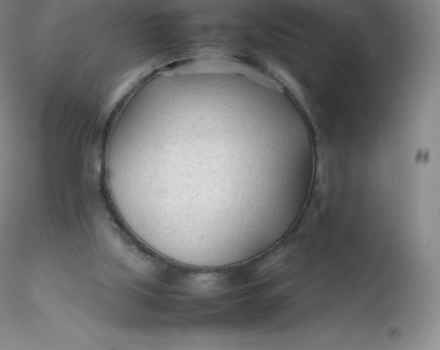 X0000116310059200912211931