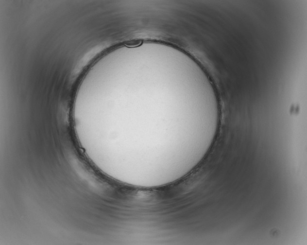 X0000116310060200912211931