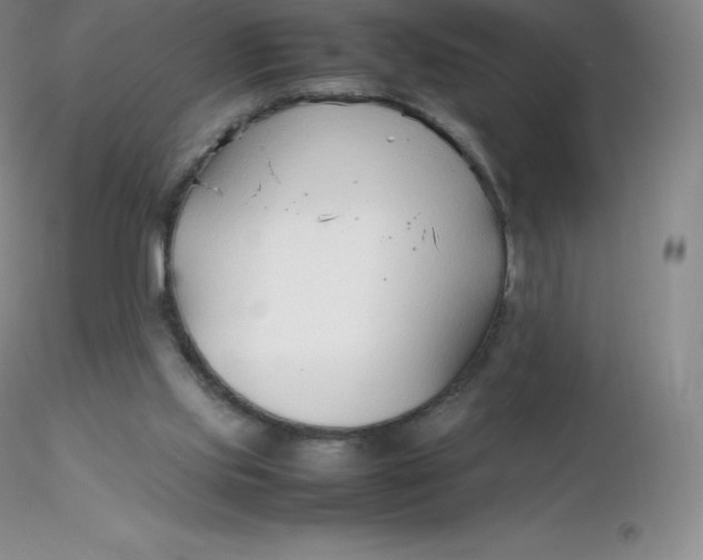 X0000116310061200912211931