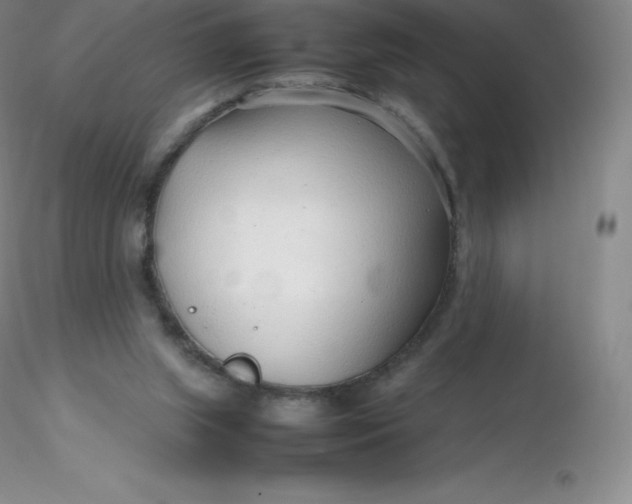 X0000116310063200912211931