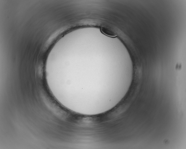 X0000116310064200912211931