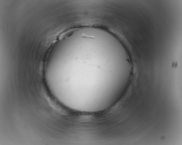 X0000116310066200912211931