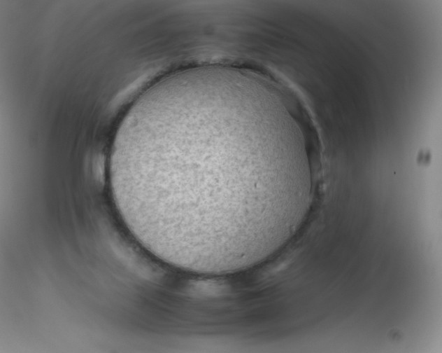 X0000116310067200912211931