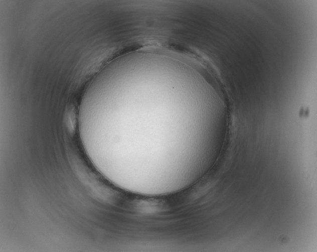 X0000116310069200912211931