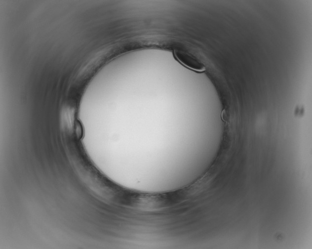 X0000116310070200912211931