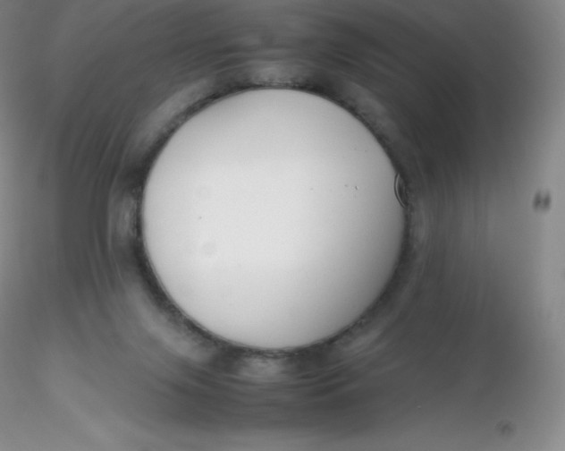 X0000116310071200912211931