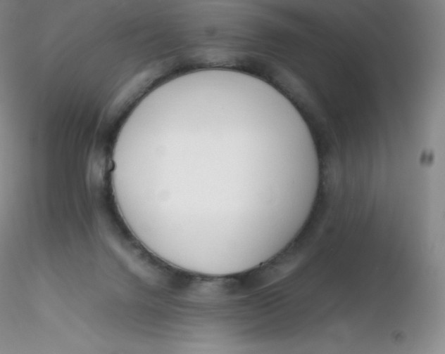 X0000116310072200912211931