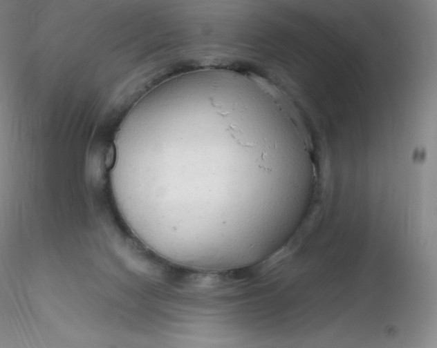 X0000116310074200912211931